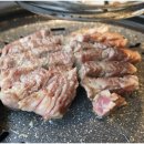 고기의 숲 이미지