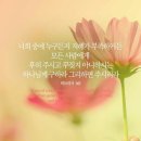오늘의그릇 이미지