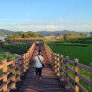 예당호느린호수길 이미지