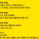 진성카피