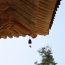 화.수.목