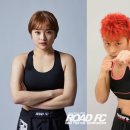 팀엑스 복싱 이미지