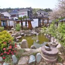 알펜옥비치 이미지