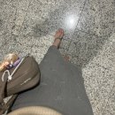 비더비즈 | [릴리움] 여리여리 코디 만능 여름 크링클 비즈 스커트 강추 후기💕