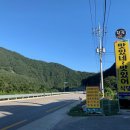 맛있네맛있어 이미지