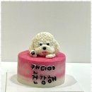 정성스럽개 이미지