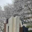 부산무빙재활용센타 이미지