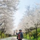 🍀사월 용띠방 주관산행 결산🍀 이미지