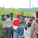 자연학교들꽃그리고곤충 이미지