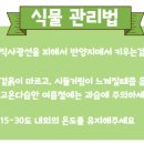 광선농장 이미지