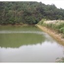 용전제 이미지