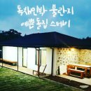 불란지스테이 이미지