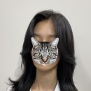 더앤드컷트(더&컷트)
