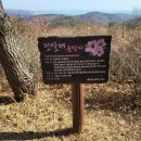 양정생활체육공원 이미지