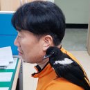 영등포소방서(여의도119안전센터) 이미지
