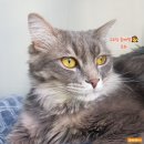 알로하산부인과의원 | [내인생 대끼리다!] 퇴원하고 대끼리없이 하루 일탈