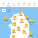 오늘의 날씨🌞☔️☃️, 2024년 6월 11일 화요일 이미지