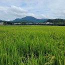 장암마을회관 이미지