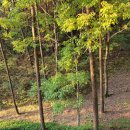 백운산자연휴양림 | 백운산 자연휴양림에서 하룻밤의 휠링