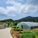 하점주유소 이미지