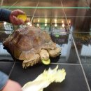 장풍이닷컴 이미지