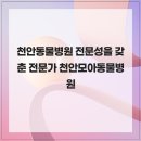 천안동물병원 전문성을 갖춘 전문가 천안모아동물병원