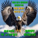 길안당구장 Daum카페