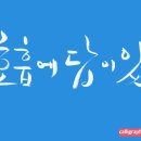 국선도(단전호흡)C | 국선도 호흡법 깊은 숨쉬기를 해야하는 까닭