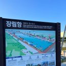 장림항(맛술촌) 이미지