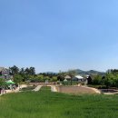 상하연주목장 네이버블로그