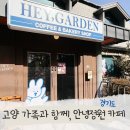 서삼릉길 | 경기도 고양 일산 안녕정원 카페 주차 와이파이 브런치 메뉴 이용 후기