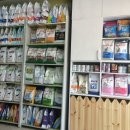 캥거루 동물병원 이미지