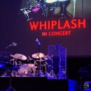더 H 콘서트(재즈밴드 굿펠리스) | [221109] WHIPLASH in Concert 🥁: Love In Seoul 2022