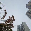 군포시 견인차 사무소 이미지