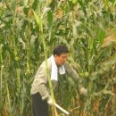 복음농장 이미지