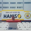 한국하니소