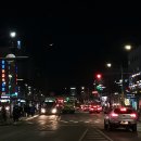 고속터미널 경부선 앞 횡단보도 네이버블로그