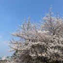 황새울교 앞 네이버블로그