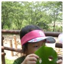 목감퍼스트어린이집 이미지