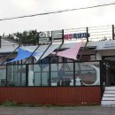 제주일돈흑돼지