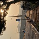 다우존스..심리적 저지선 깨져... 이미지