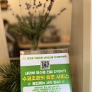 솔카페 | 강릉의 분위기를 즐길 수 있는 소나무테마 이색카페 강릉앤솔 방문후기