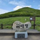 곰배령 이미지