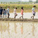 묘량중앙초등학교 이미지