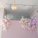 벨르(Belle) 네이버블로그