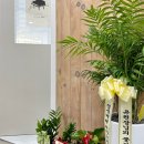 큰별피아노학원 이미지