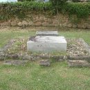 금성대군 이미지