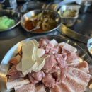 삼양카서비스 | 제주흑돼지맛집을 고민 중이라면현지인도 인정하는 도남돼지 리얼 후기