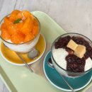 마포구 서교동 카페 추천: 콜린 COLLINE 빙수 후기 (홍시빙수·밀크팥빙수 여름 찐맛집!)