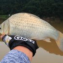 감곡낚시터 이미지